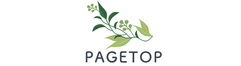 PAGE TOP