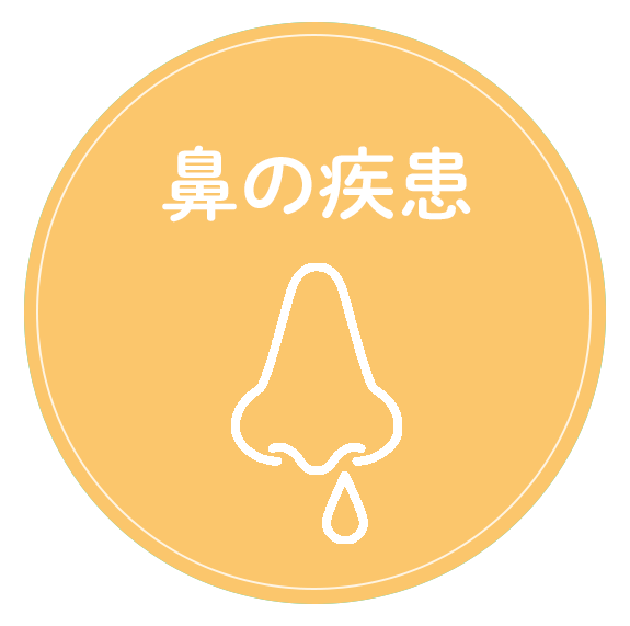 鼻の疾患